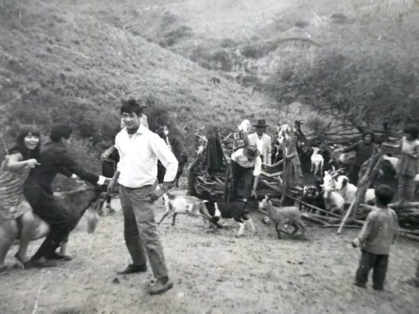 Lucrecia Martel: «tenemos que recuperar la vida&nbsp;comunitaria»